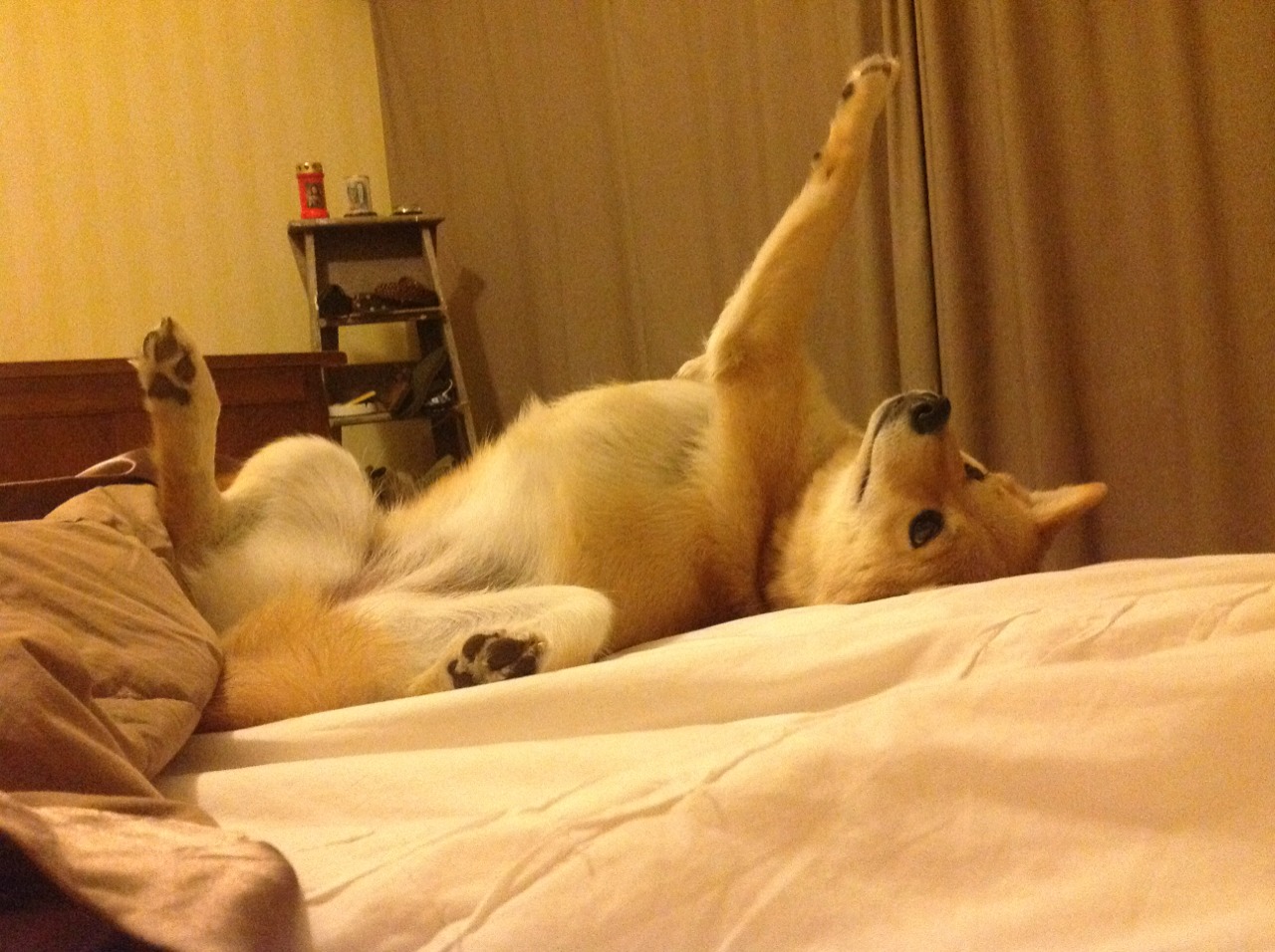 保级大战：末尾几名球队如何争取反转？，保级之战