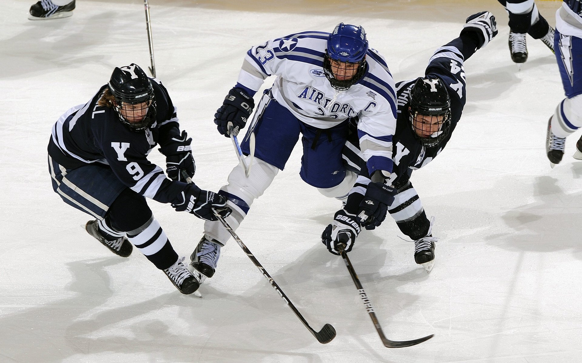 九游APP官网-老鹰重点培养新秀后场轮换焕发活力，老鹰的新秀