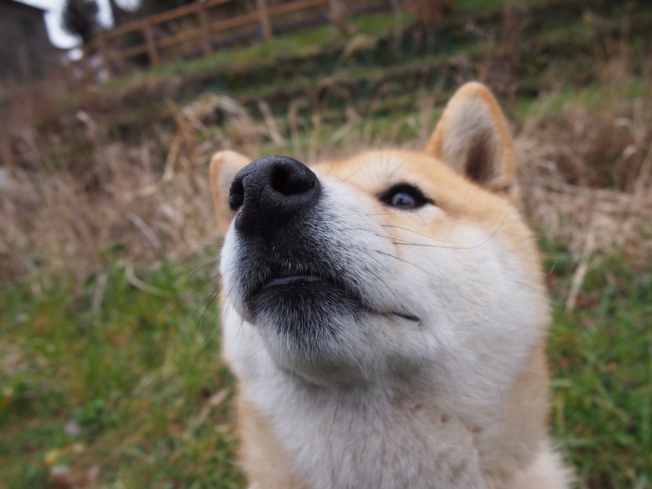 _阳光节:在公共广场打造全民运动嘉年华_,公园广场公益活动