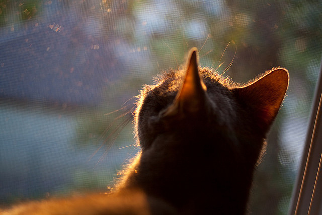 _阳光节:在公共广场打造全民运动嘉年华_,公园广场公益活动