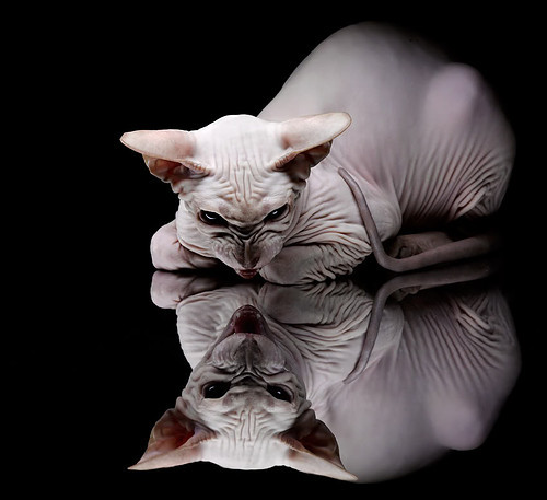 “西甲激战正酣,冠军争夺逐渐明晰”,西甲比赛锦集