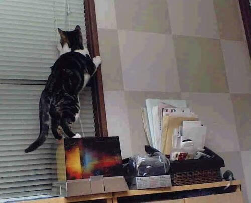 九游网页版入口-“西甲激战频繁：强队难以轻松取胜”，西甲强度