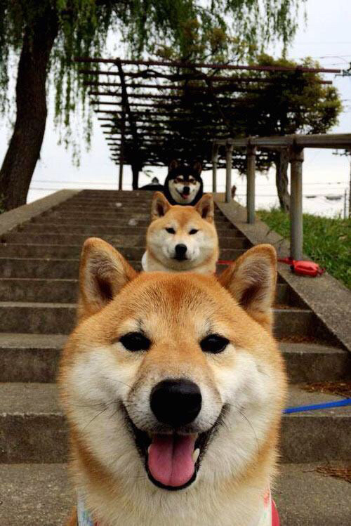 JIU YOU GAME-不可思议的“终结者”，欧冠中的神级射手，欧冠最佳射手奖