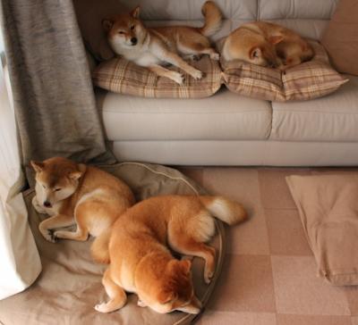 专业裁判员队伍不断壮大，确保比赛公平公正环境，专职裁判员