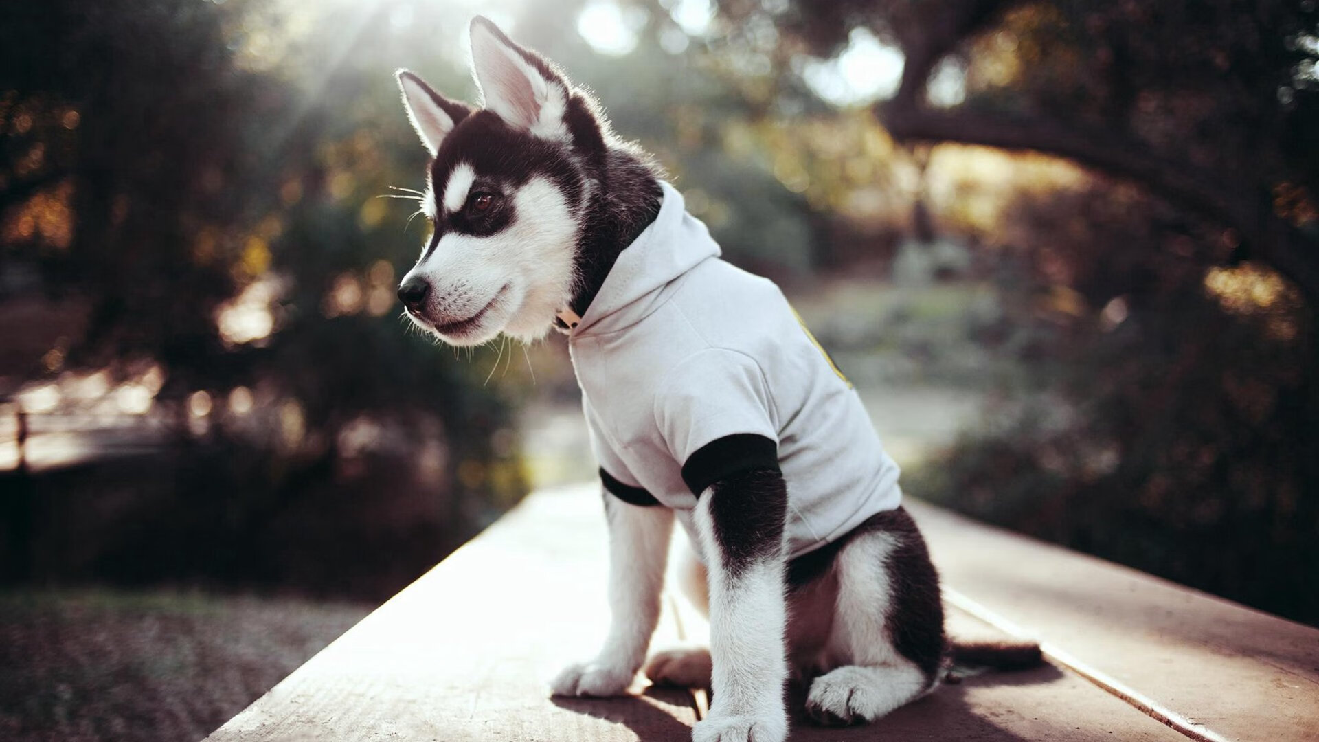 中国足球绿色场馆名片再升级，走在行业前列，绿色的足球队