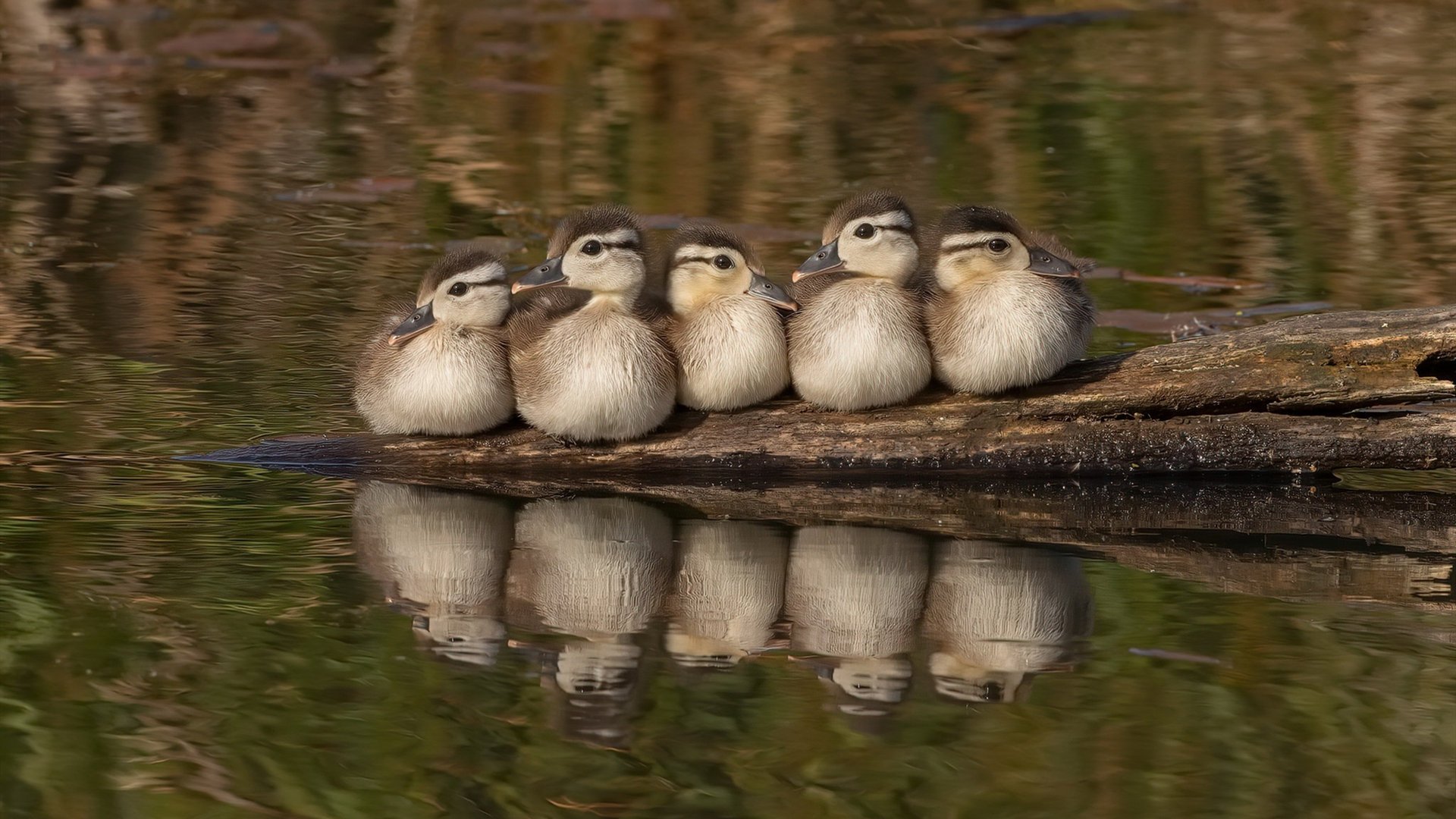 中国足球运动员身体素质提升计划正式启动，足球运动员身体素质好指的是哪些方面