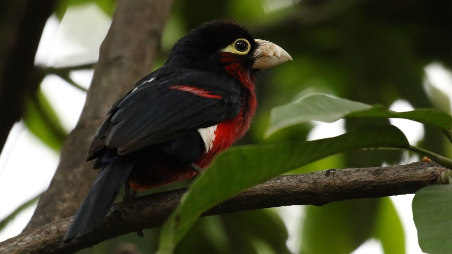 中国足球青训“深度融合”行业标准体系全面完善,中国足球青训大纲内容