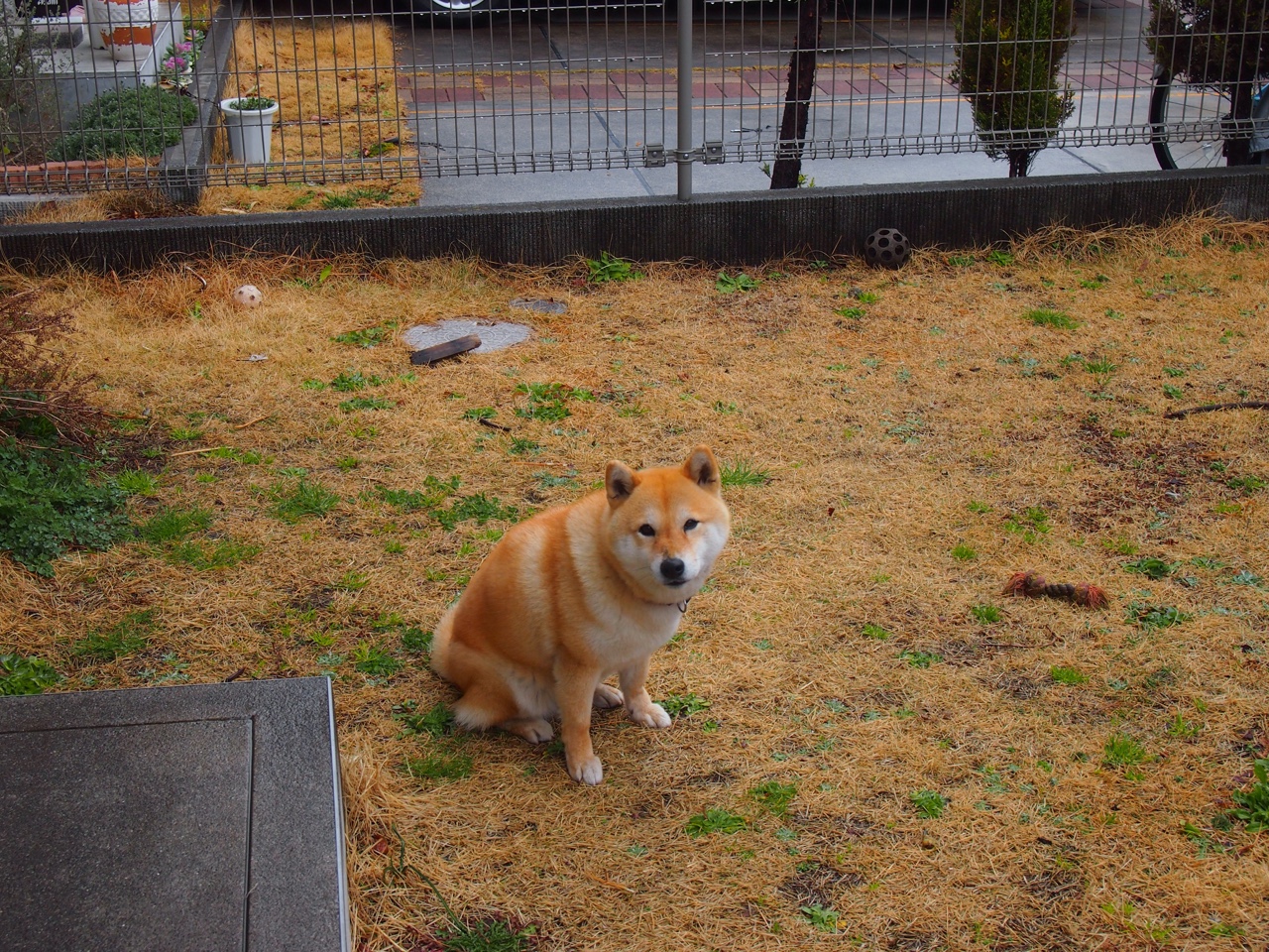 九游官网pc-利物浦强势击退马竞，晋级赛再下一城，利物浦被马竞逆转