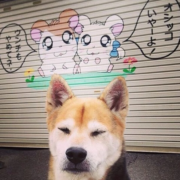 史上最“疯狂”的防守瞬间：挡住对手的“最后一道防线”！，最后一名防守队员破坏必进球