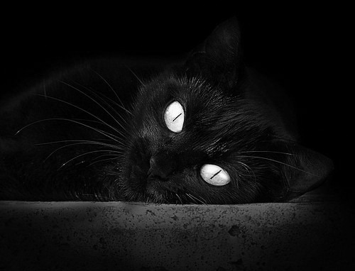 史上最“硬核”篮下争夺：他在攻防转换中的拼搏精神令人敬佩！