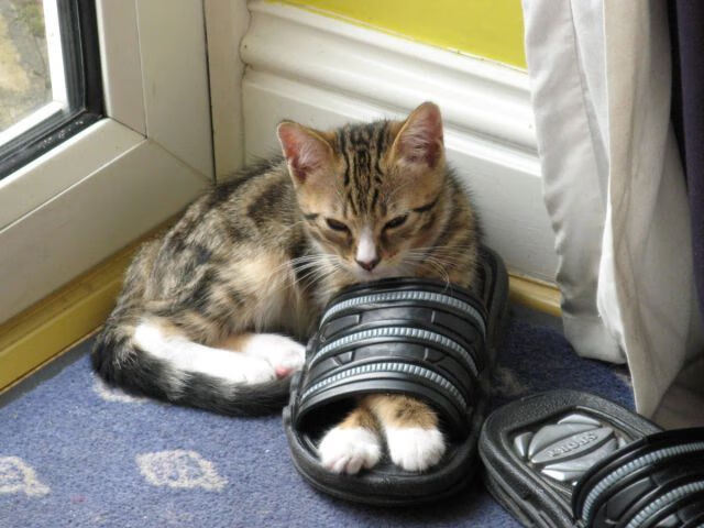 史上最“绝望”的逆转战，科比带领湖人逆天翻盘！，科比36岁湖人战绩