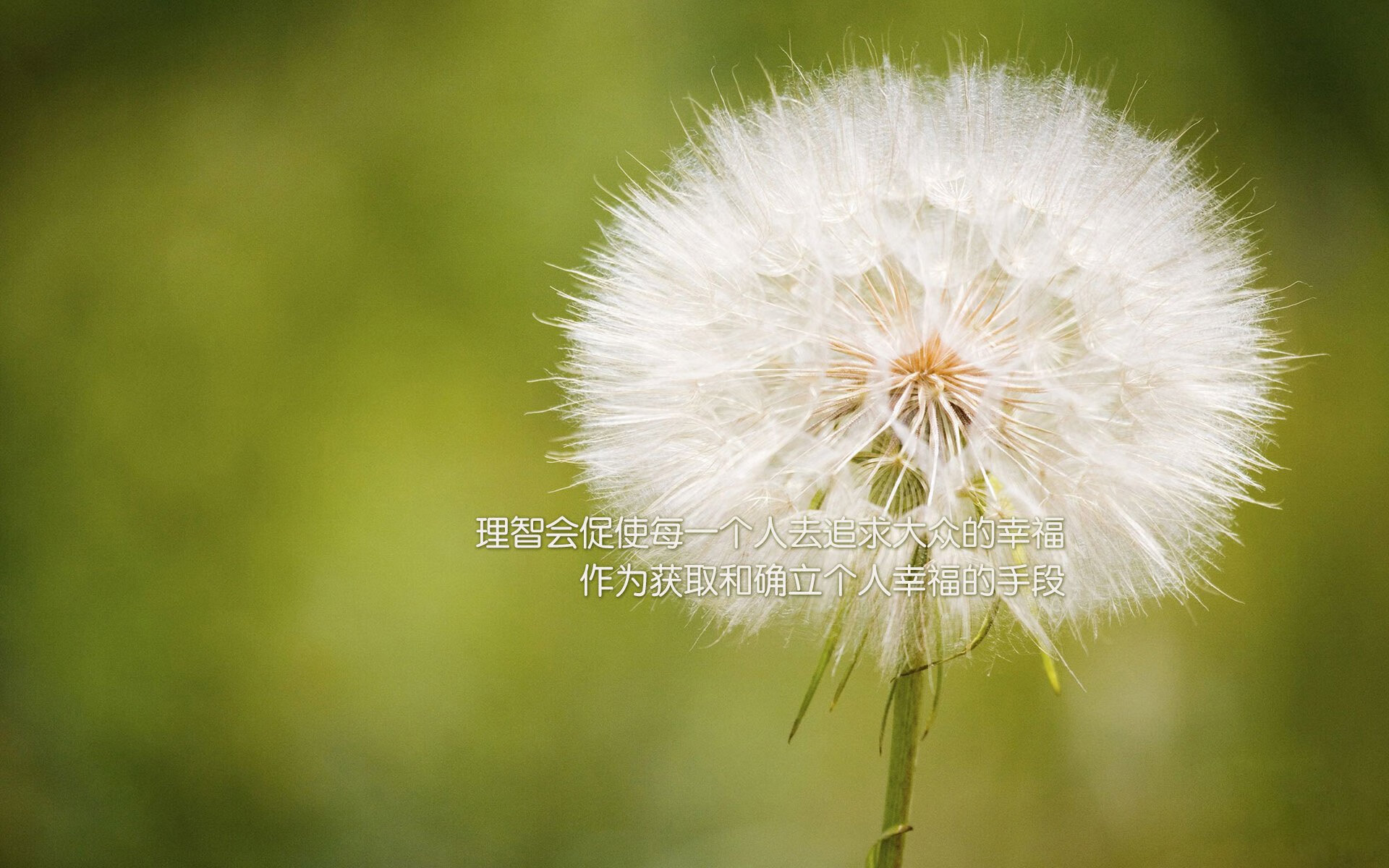 史上最“绝望”的逆转战，科比带领湖人逆天翻盘！，科比36岁湖人战绩